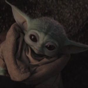 Meet your Posher, Laney